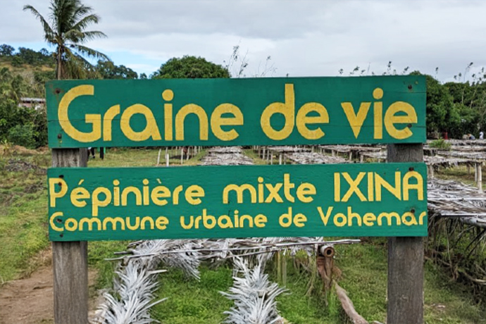 Reforestation : l’engagement d’ixina et Graine de Vie pour un avenir durable