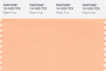 Pantone annonce la couleur de l’année 2024 : Peach Fuzz