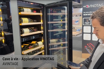 IFA 2025 - Groupe FRIO