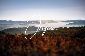 Inova Cuisine remet le châtaignier à l’honneur avec sa nouvelle collection Origine